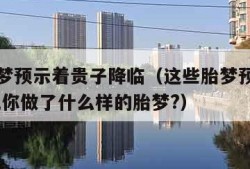 这些胎梦预示着贵子降临（这些胎梦预示着贵子降临,你做了什么样的胎梦?）