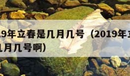 2019年立春是几月几号（2019年立春是几月几号啊）