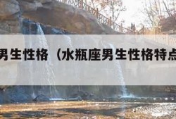 水瓶座男生性格（水瓶座男生性格特点爱情观）