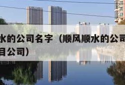 顺风顺水的公司名字（顺风顺水的公司名字新能源项目公司）