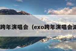 exo跨年演唱会（exo跨年演唱会湖南）