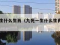 九死一生什么生肖（九死一生什么生肖打一肖）