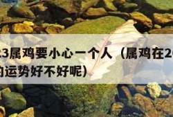 2023属鸡要小心一个人（属鸡在2023年的运势好不好呢）