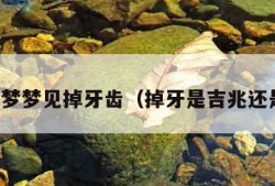 周公解梦梦见掉牙齿（掉牙是吉兆还是凶兆）