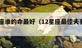 12星座谁的命最好（12星座最佳夫妻配对）