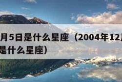 12月5日是什么星座（2004年12月5日是什么星座）