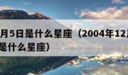 12月5日是什么星座（2004年12月5日是什么星座）