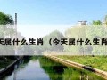 今天属什么生肖（今天属什么生肖日）