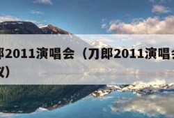 刀郎2011演唱会（刀郎2011演唱会王瀚仪）