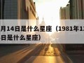 12月14日是什么星座（1981年12月14日是什么星座）