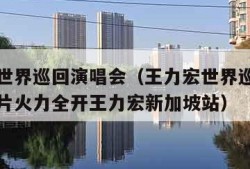 王力宏世界巡回演唱会（王力宏世界巡回演唱会宣传片火力全开王力宏新加坡站）