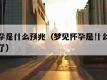 梦见怀孕是什么预兆（梦见怀孕是什么预兆还大肚子了）