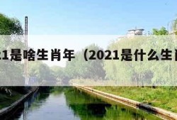 2021是啥生肖年（2021是什么生肖呢）