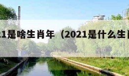 2021是啥生肖年（2021是什么生肖呢）