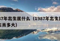 1987年出生属什么（1987年出生属什么生肖多大）