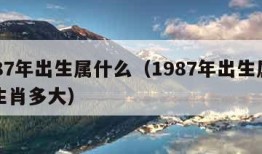 1987年出生属什么（1987年出生属什么生肖多大）