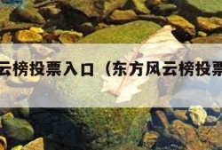 东方风云榜投票入口（东方风云榜投票入口官网31）