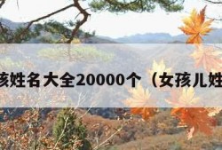 女孩姓名大全20000个（女孩儿姓名）