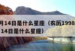 12月14日是什么星座（农历1998年12月14日是什么星座）