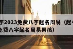 起名字2023免费八字起名周易（起名字2023免费八字起名周易男孩）