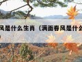 满面春风是什么生肖（满面春风是什么生肖正确答案）