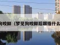 梦见狗咬脚（梦见狗咬脚后跟指什么预兆）