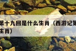 西游记第十九回是什么生肖（西游记第十九回指什么生肖）