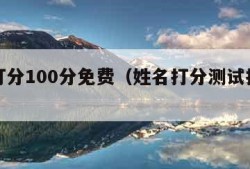 姓名打分100分免费（姓名打分测试打分免费）