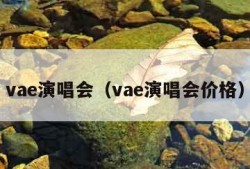 vae演唱会（vae演唱会价格）