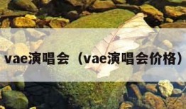 vae演唱会（vae演唱会价格）