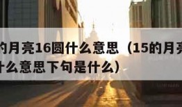 15的月亮16圆什么意思（15的月亮16圆什么意思下句是什么）