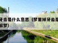 梦到掉牙齿是什么意思（梦里掉牙齿是什么征兆周公解梦）