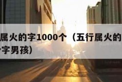 五行属火的字1000个（五行属火的字1000个字男孩）