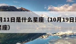 10月11日是什么星座（10月19日是什么星座）