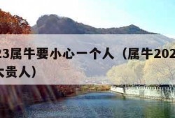 2023属牛要小心一个人（属牛2025的特大贵人）