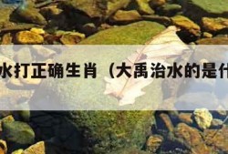 大禹治水打正确生肖（大禹治水的是什么生肖）