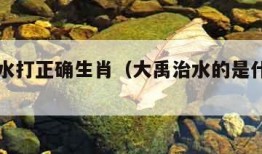 大禹治水打正确生肖（大禹治水的是什么生肖）