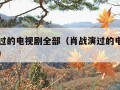 肖战演过的电视剧全部（肖战演过的电视剧全部图片）