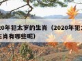 2020年犯太岁的生肖（2020年犯太岁的生肖有哪些呢）