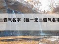 独一无二霸气名字（独一无二霸气名字简短一点）