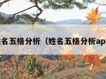 姓名五格分析（姓名五格分析app）