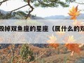 唯一能毁掉双鱼座的星座（属什么的双鱼座命最好）