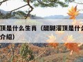 醍醐灌顶是什么生肖（醍醐灌顶是什么生肖?请详细介绍）