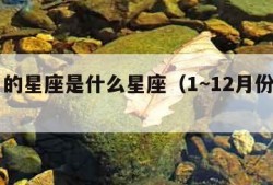 12月的星座是什么星座（1~12月份星座表）