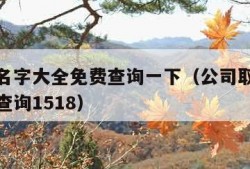 公司取名字大全免费查询一下（公司取名字大全免费查询1518）