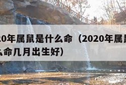 2020年属鼠是什么命（2020年属鼠是什么命几月出生好）