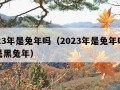 2023年是兔年吗（2023年是兔年吗什么是黑兔年）