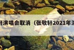 张敬轩演唱会取消（张敬轩2021年演唱会）