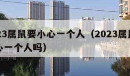 2023属鼠要小心一个人（2023属鼠要小心一个人吗）