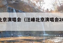 汪峰北京演唱会（汪峰北京演唱会2019视频）